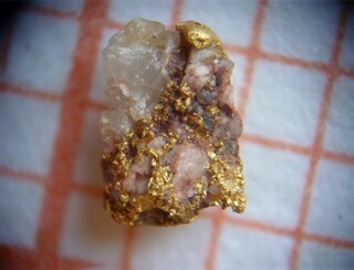 Deutschland/Thüringen/Saalfeld-Rudolstadt, Landkreis/Reichmannsdorf