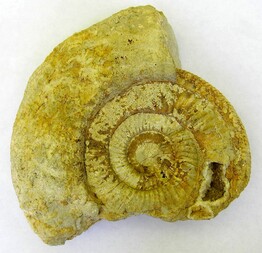 Deutschland/Bayern/Oberfranken, Bezirk