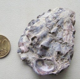 Österreich/Oberösterreich/Schärding, Bezirk/Diersbach