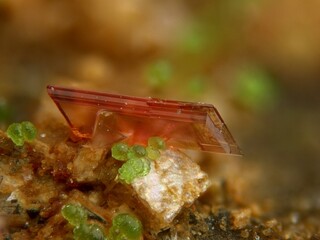 Spanien/Andalusien (Andalucía)/Almería, Provinz/Levante Almeriense, Comarca/Huercal-Overa, Municipio