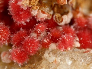 Deutschland/Hessen/Darmstadt, Bezirk/Bergstraße, Landkreis/Abtsteinach/Mackenheim