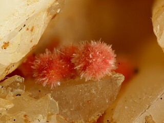 Deutschland/Baden-Württemberg/Freiburg, Bezirk/Rottweil, Landkreis/Schenkenzell, Gemeinde/Kaltbrunn, Ortsteil/Wittichen