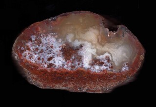 Argentinien/Patagonien/Chubut, Provinz/Estancia La Manea