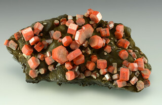 Marokko/Drâa-Tafilalet, Region/Errachidia (Er-Rachidia), Provinz/Er-Rissani, Cercle/Taouz