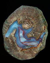 Frankreich/Provence-Alpes-Côte d'Azur, Région/Var, Département/Draguignan, Arrondissement/Fréjus, Stadt