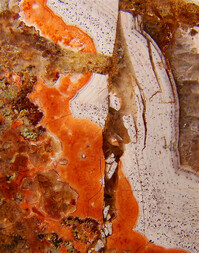 Deutschland/Rheinland-Pfalz/Südliche Weinstraße, Landkreis/Waldhambach/Steinbruch Kuhn