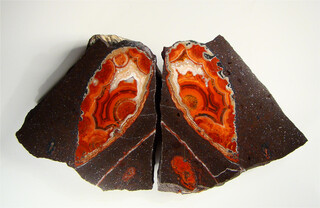 Deutschland/Rheinland-Pfalz/Südliche Weinstraße, Landkreis/Waldhambach/Steinbruch Kuhn