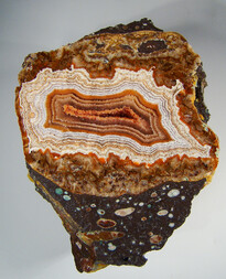 Deutschland/Rheinland-Pfalz/Südliche Weinstraße, Landkreis/Waldhambach/Steinbruch Kuhn