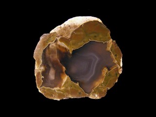 USA/Oregon/Crook County/Ochoco Mountains/Wildcat Mountain/Eddy Bed