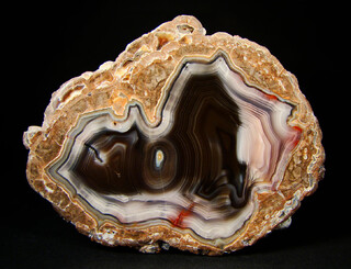 USA/New Mexico/Luna County/Deming/Baker Ranch