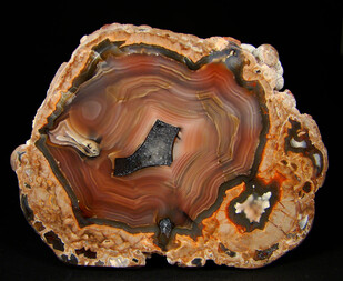 USA/New Mexico/Luna County/Deming/Baker Ranch