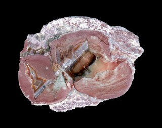 Deutschland/Baden-Württemberg/Freiburg, Bezirk/Ortenaukreis/Oppenau/Lierbachtal (Lierbach)