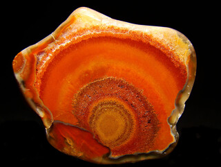 Deutschland/Brandenburg/Oberspreewald-Lausitz, Landkreis/Großräschen/Saalhausen