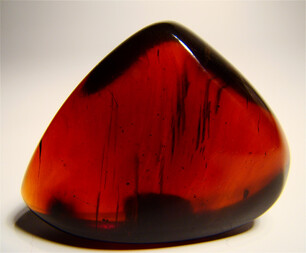 Malaysia/Sarawak/Kapit/Merit Pila Kohlefeld