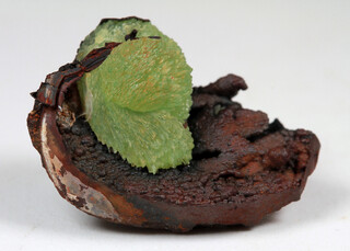 Ukraine/Autonome Republik Krim/Kertsch (Kertch; Kerch)