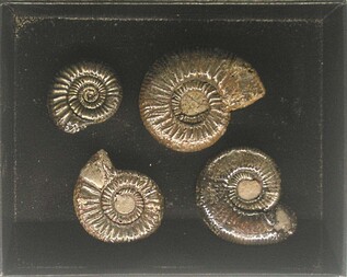 Deutschland/Baden-Württemberg/Stuttgart, Bezirk/Göppingen, Landkreis/Bad Boll/Franzosenschlucht