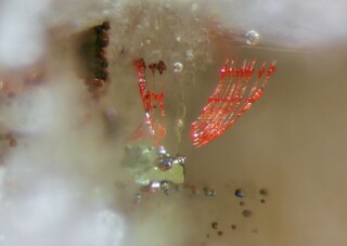 Deutschland/Bayern/Oberpfalz, Bezirk/Schwandorf, Landkreis/Wölsendorf, Revier/Freiung/Grube Cäcilia