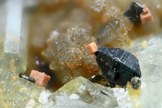 Italien/Toskana (Toscana)/Livorno, Provinz/Elba, Insel/Capoliveri/Lacona/Monte Petriciaio