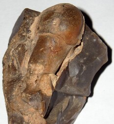 Dänemark/Sjælland, Region/Vordingborg, Kommune/Møn, Insel/Möns Klint