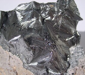 Deutschland/Thüringen/Ilm-Kreis/Geraberg/Arlesberg, Revier