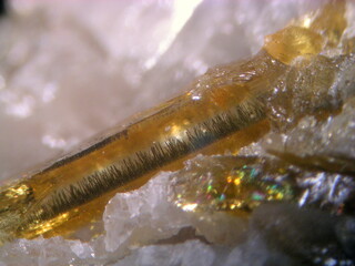 Deutschland/Thüringen/Greiz, Landkreis/Berga a. d. Weiße Elster/Culmitzsch/Tagebau Culmitzsch (Mücke)