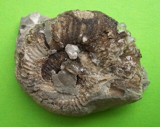 Frankreich/Provence-Alpes-Côte d'Azur, Région/Hautes-Alpes, Département/Gap, Arrondissement/Orpierre/Ste Colombe