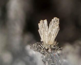 Deutschland/Rheinland-Pfalz/Neuwied, Kreis/Rheinbreitbach/Grube Virneberg