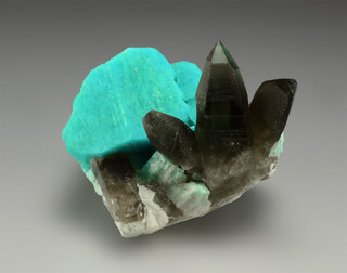 USA/Colorado/Teller County/Crystal Peak/Florissant