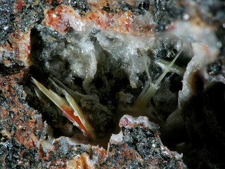 Deutschland/Sachsen-Anhalt/Mansfeld-Südharz, Landkreis/Hettstedt/Burgörner-Altdorf/Kupferkammer