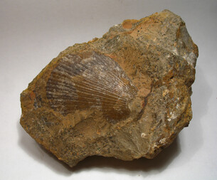 Deutschland/Sachsen/Plauenscher Grund