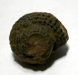 Deutschland/Sachsen/Plauenscher Grund