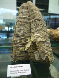 Frankreich/Nouvelle-Aquitaine, Région/Charente, Département