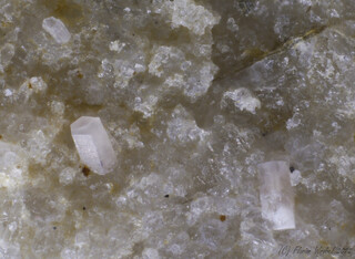 Italien/Piemont (Piemonte), Region/Verbano-Cusio-Ossola, Provinz/Montecrestese