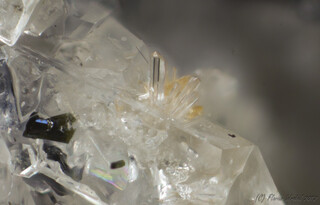 Deutschland/Rheinland-Pfalz/Mayen-Koblenz-Kreis/Mendig, Verbandsgemeinde/In den Dellen (Grube Zieglowski)