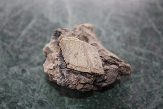 Deutschland/Hessen/Kassel, Bezirk/Hersfeld-Rotenburg, Landkreis/Richelsdorfer Gebirge/Sontra/Berneburg