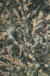 Deutschland/Niedersachsen/Goslar, Landkreis/Braunlage/St. Andreasberg, Revier/Beerberg/Grube Roter Bär