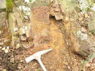 Deutschland/Sachsen/Sächsische Schweiz-Osterzgebirge, Landkreis/Freital/Großer Ternickel