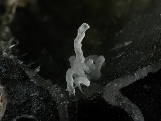 Griechenland/Attika (Attikí, Attica)/East Attica/Lavreotiki/Lavrion (Laurion), Schlackenfundstellen/Passa Limani/Passa Limani Bucht (Pacha Limani), Schlackenfundstelle