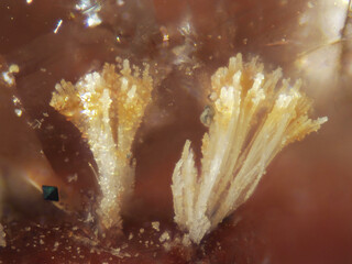 Italien/Lombardei (Lombardia), Region/Varese, Provinz/Cuasso al Monte/Cavagnano/Cava Laghetto