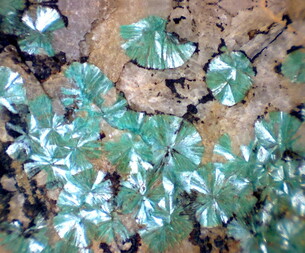 Österreich/Tirol/Kufstein, Bezirk/Wildschönau/Thierbach/Gratlspitz Ostseite/Kaiserbründl