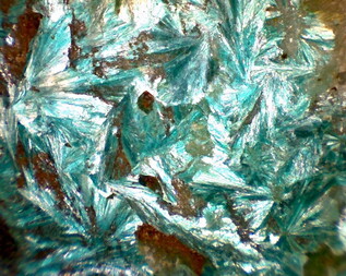 Österreich/Tirol/Kufstein, Bezirk/Wildschönau/Thierbach/Gratlspitz Ostseite/Kaiserbründl