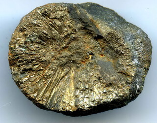 Deutschland/Schleswig-Holstein/Steinburg, Landkreis/Lägerdorf/Kreidegruben