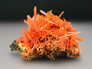 Australien/Tasmanien/West Coast Municipality/Zeehan District/Dundas/Adelaide Mine