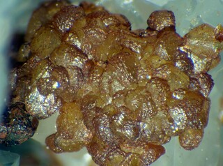 Deutschland/Rheinland-Pfalz/Rhein-Lahn-Kreis/Loreley, Verbandsgemeinde/Braubach/Grube Rosenberg