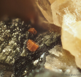 Italien/Lombardei (Lombardia), Region/Varese, Provinz/Cuasso al Monte/Cava Gebel (Cava Mantegazza; Cava Bianchi)