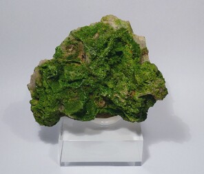 Deutschland/Sachsen/Mittelsachsen, Landkreis/Freiberg, Revier/Halsbrücke/Lorenz Gegentrum