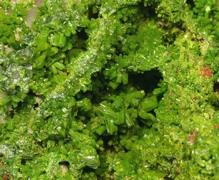 Deutschland/Sachsen/Mittelsachsen, Landkreis/Freiberg, Revier/Halsbrücke/Lorenz Gegentrum