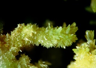 Deutschland/Bayern/Oberpfalz, Bezirk/Tirschenreuth, Landkreis/Erbendorf, Stadt/Silberrangen