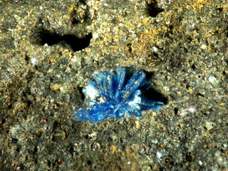 Österreich/Salzburg/Zell am See, Bezirk (Pinzgau)/Rauris, Marktgemeinde/Bucheben, Katastralgemeinde/Hüttwinkltal/Astenschmiede