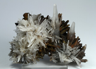 Mexiko/Chihuahua, Estado/Aquiles Serdán, Municipio/Santa Eulalia